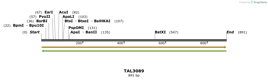 56022_map