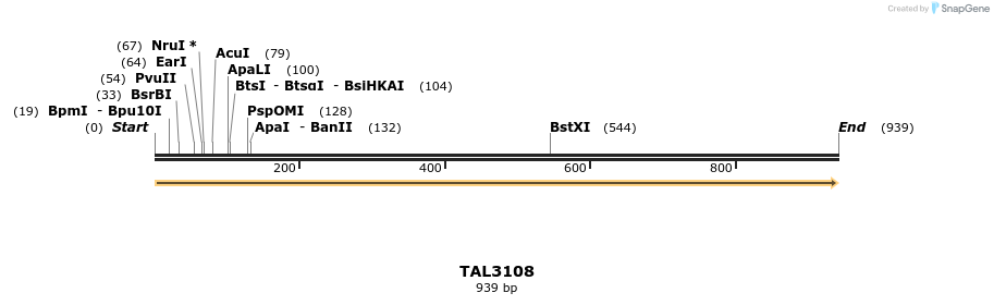 56023_map