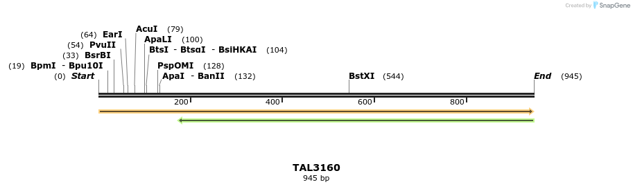 56024_map