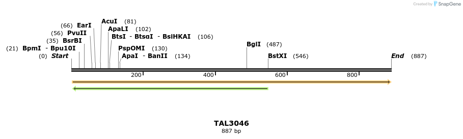 56025_map