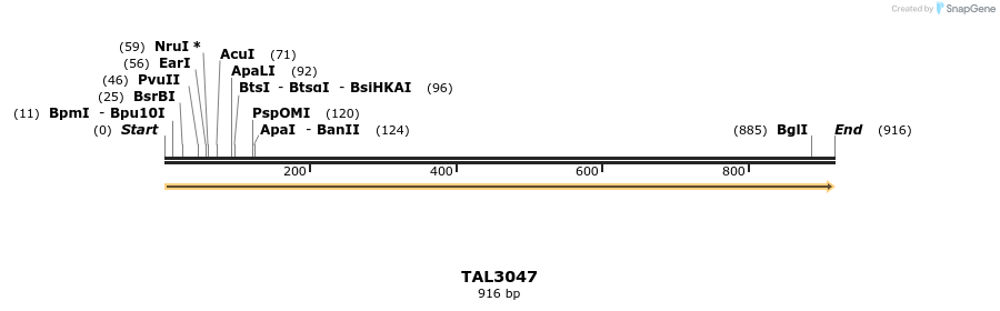 56026_map
