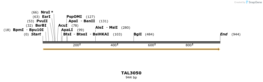 56027_map