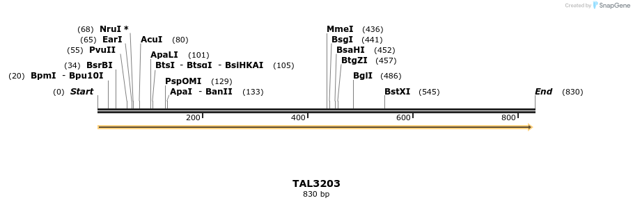56030_map