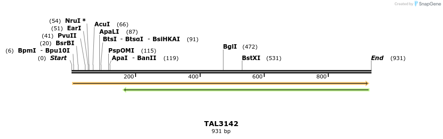 56031_map