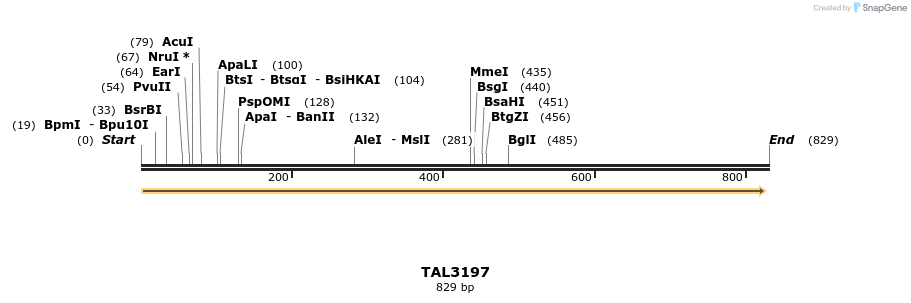 56032_map