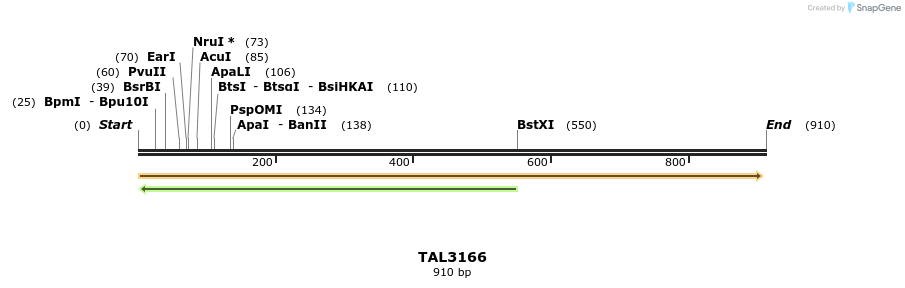 56033_map