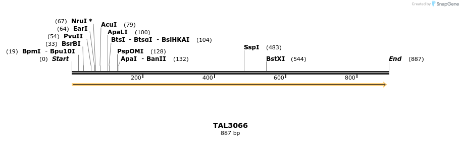 56035_map