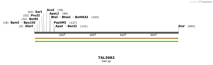 56036_map