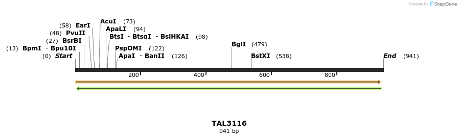 56038_map
