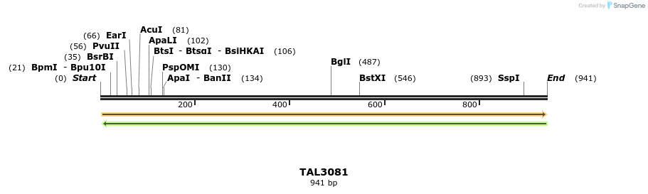 56047_map