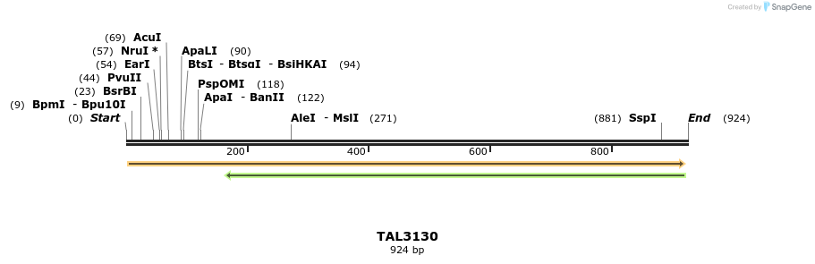56048_map