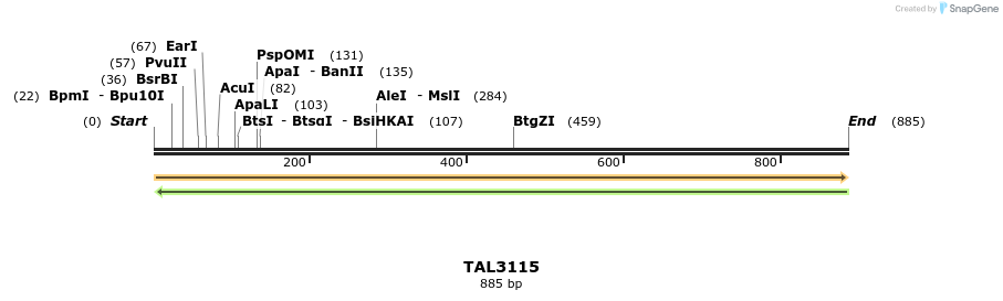56049_map