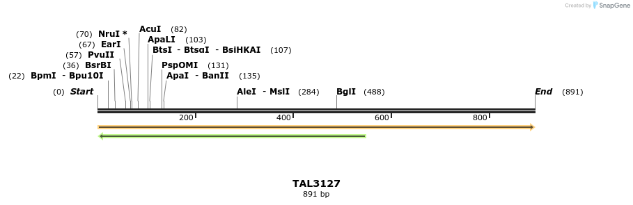 56050_map