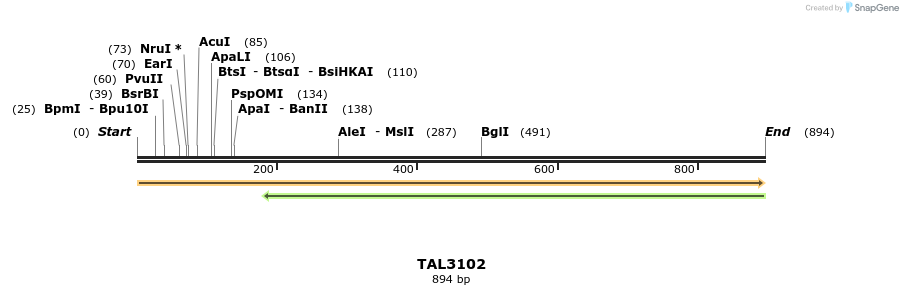 56052_map