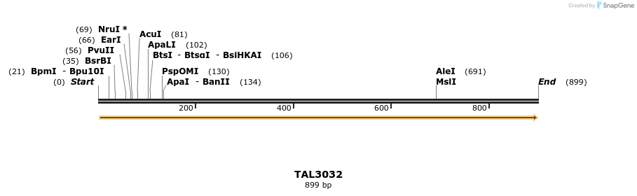 56057_map