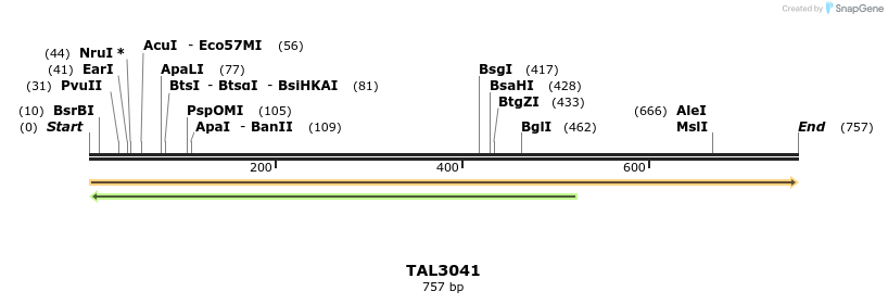 56058_map