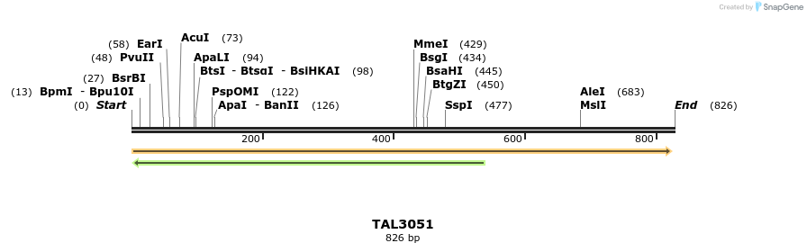 56060_map