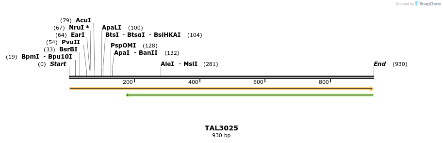 56061_map