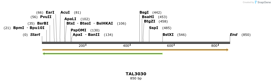 56062_map