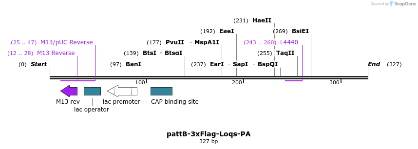 56063_map