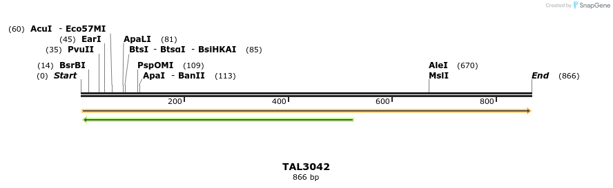 56064_map
