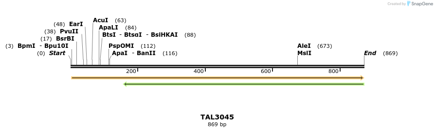 56065_map