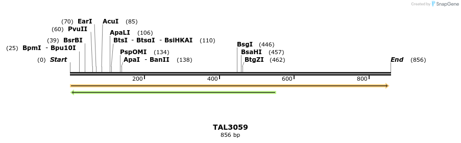 56066_map
