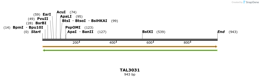 56067_map