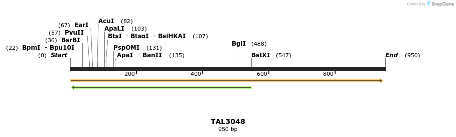 56069_map