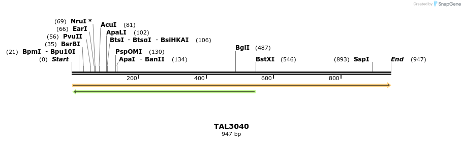 56071_map
