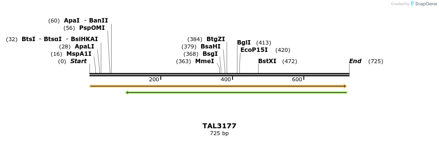 56072_map