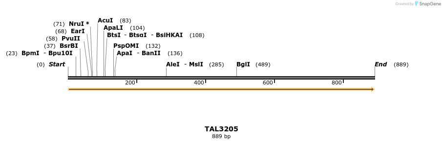 56074_map