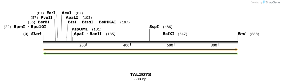 56075_map