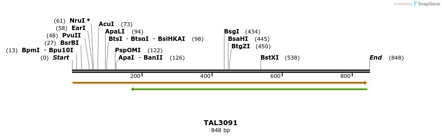 56076_map