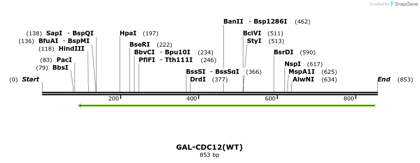 56077_map