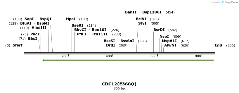 56080_map