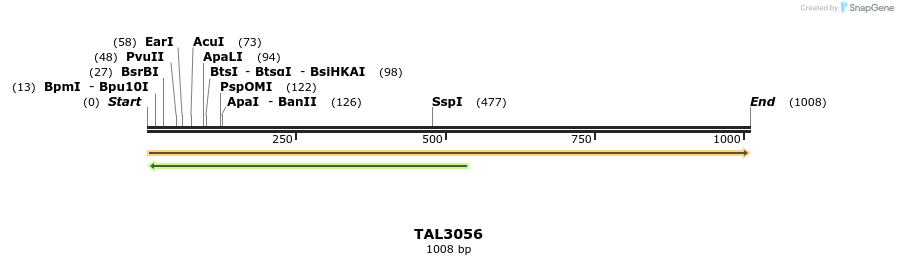 56083_map