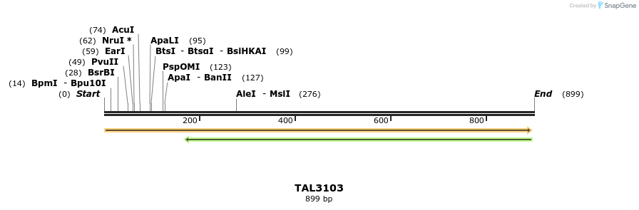 56088_map