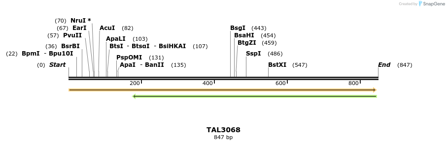 56090_map
