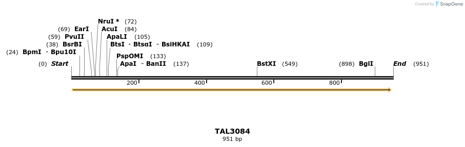 56096_map