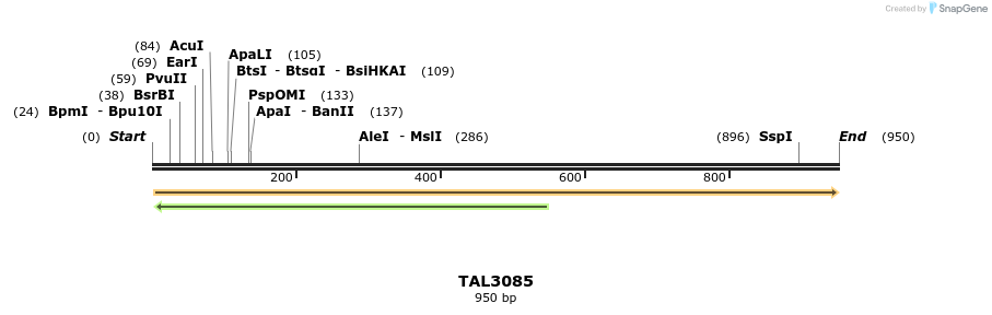 56098_map