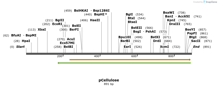56100_map