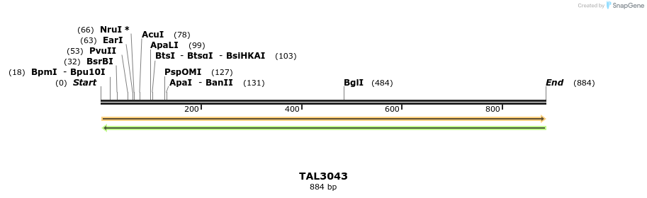 56105_map