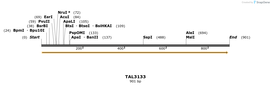 56110_map