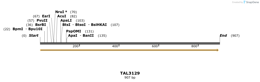 56112_map