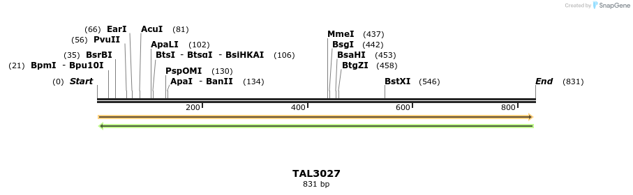 56113_map