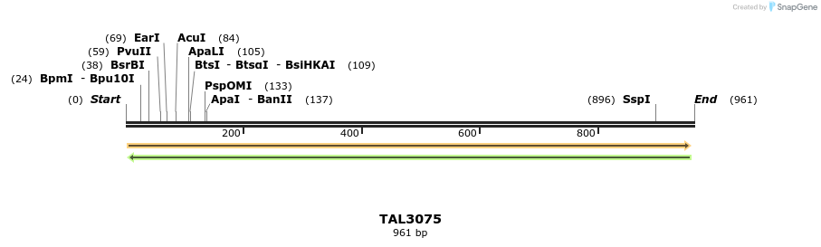 56114_map