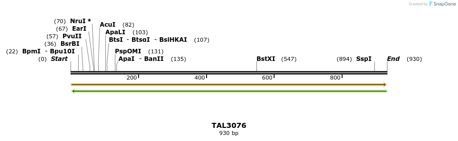 56115_map