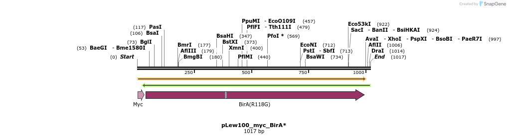 56117_map