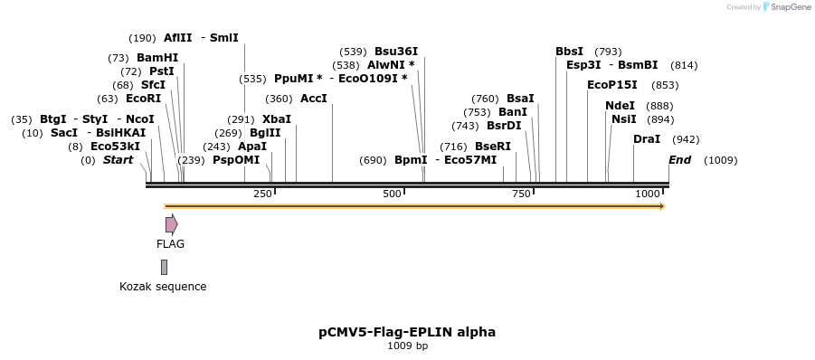 56119_map